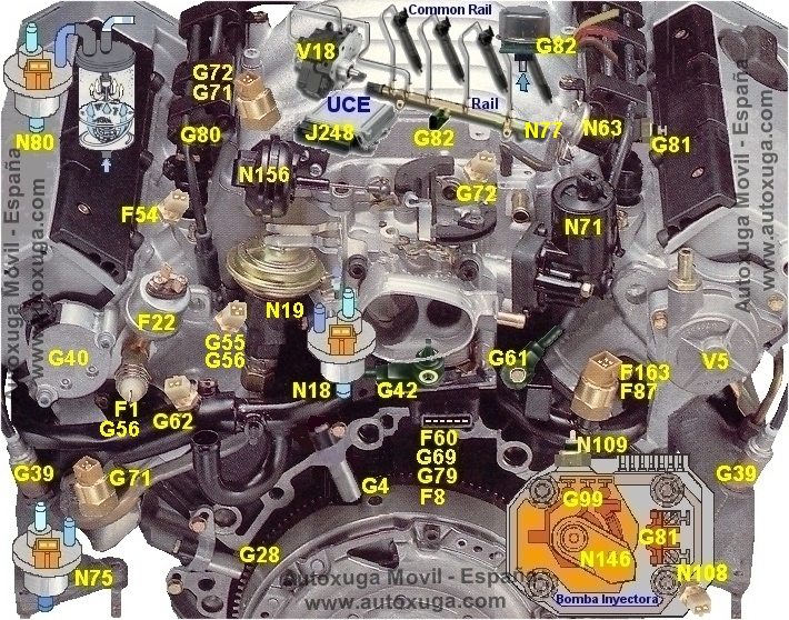 G28  Transmisor (rpm) rgimen motor