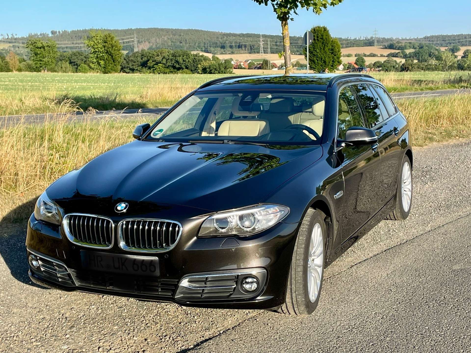 coche bmw 525d Disel Alemania - 30058
