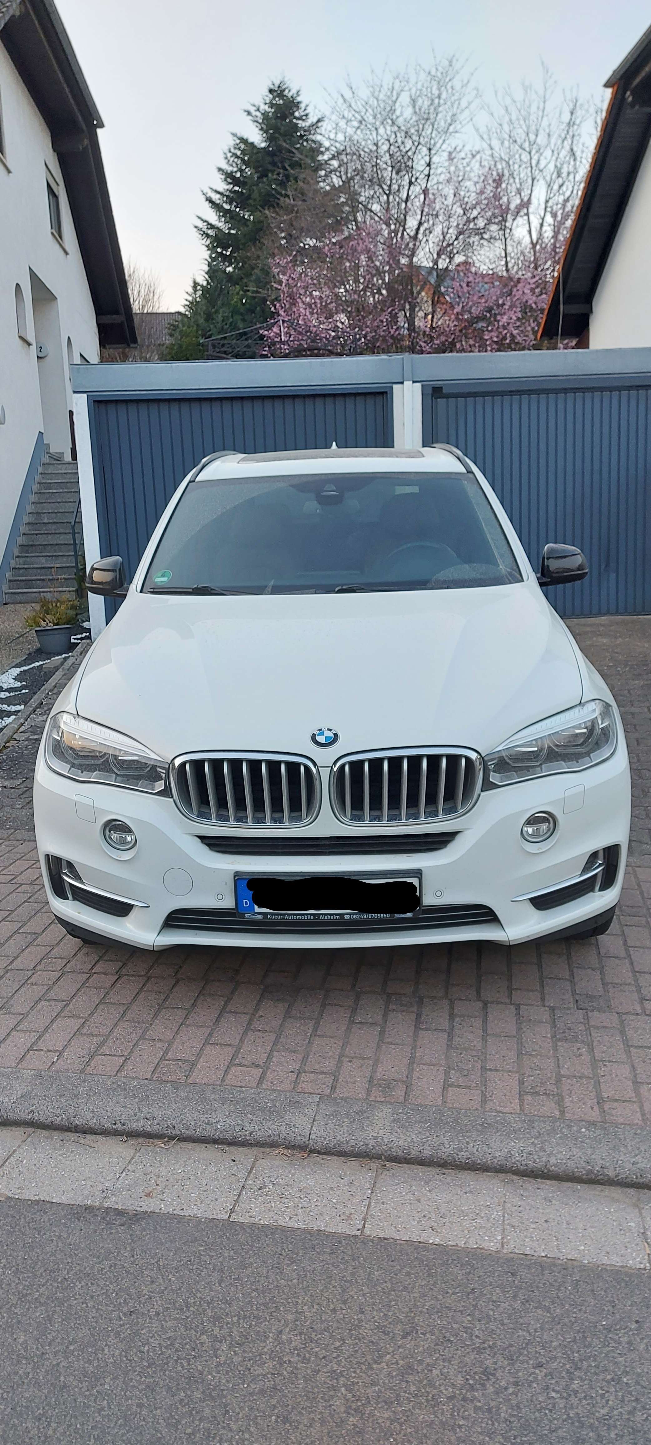 coche bmw X5 Disel Alemania - 44483
