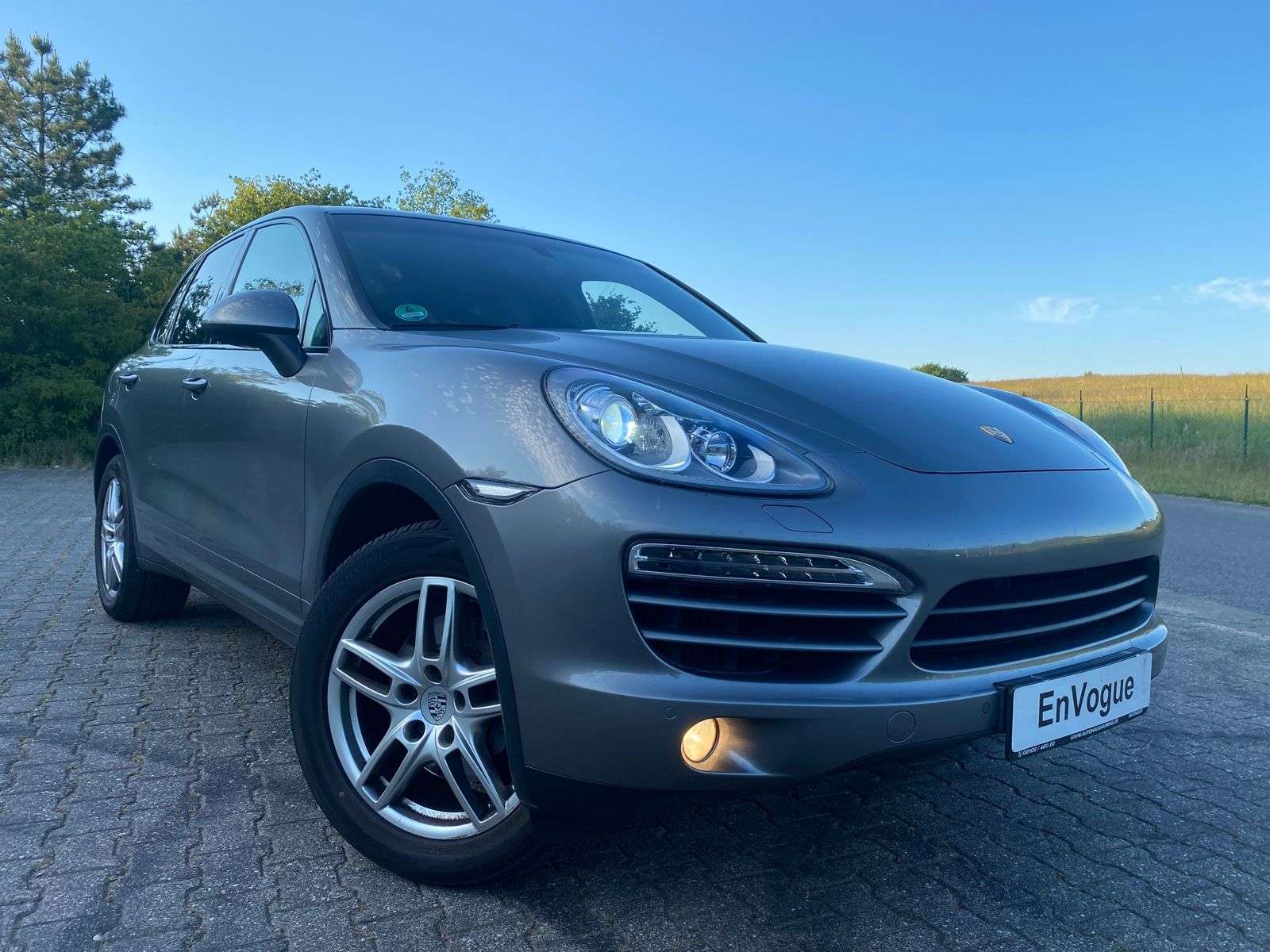 Coche PORSCHE Cayenne Diésel 2013 50796