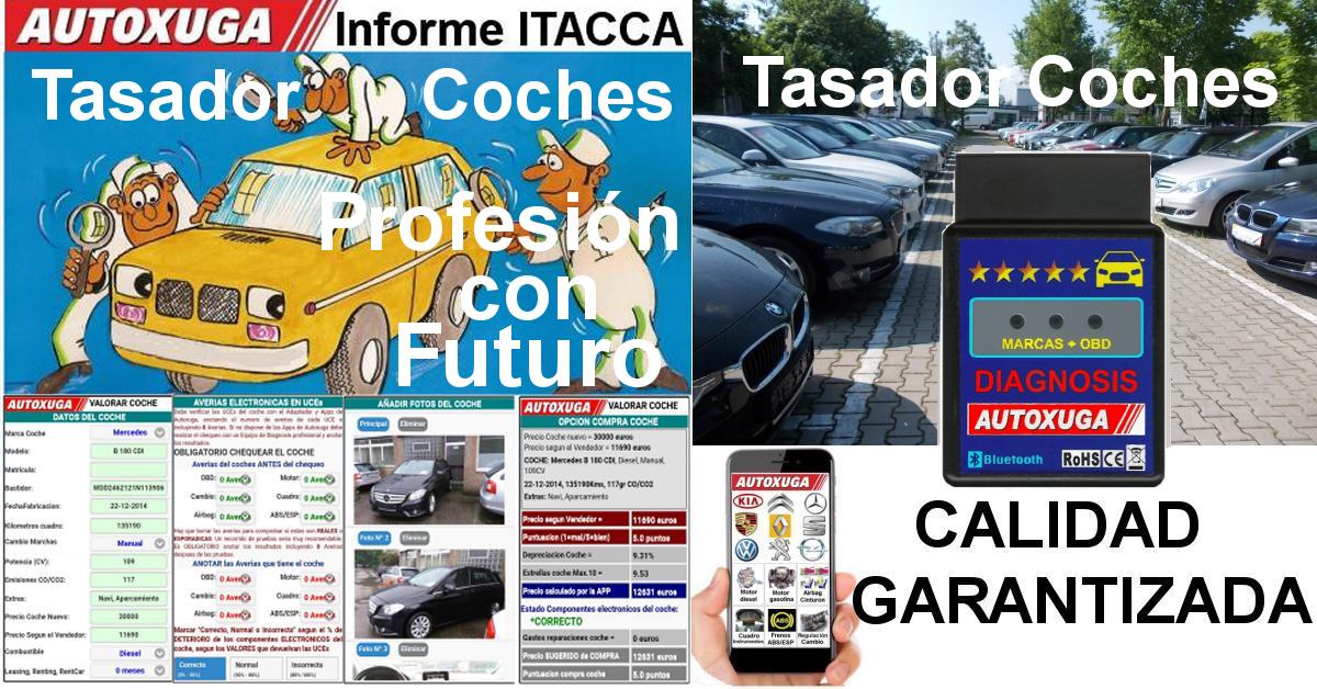 Nueva profesion de tasador coches de oca